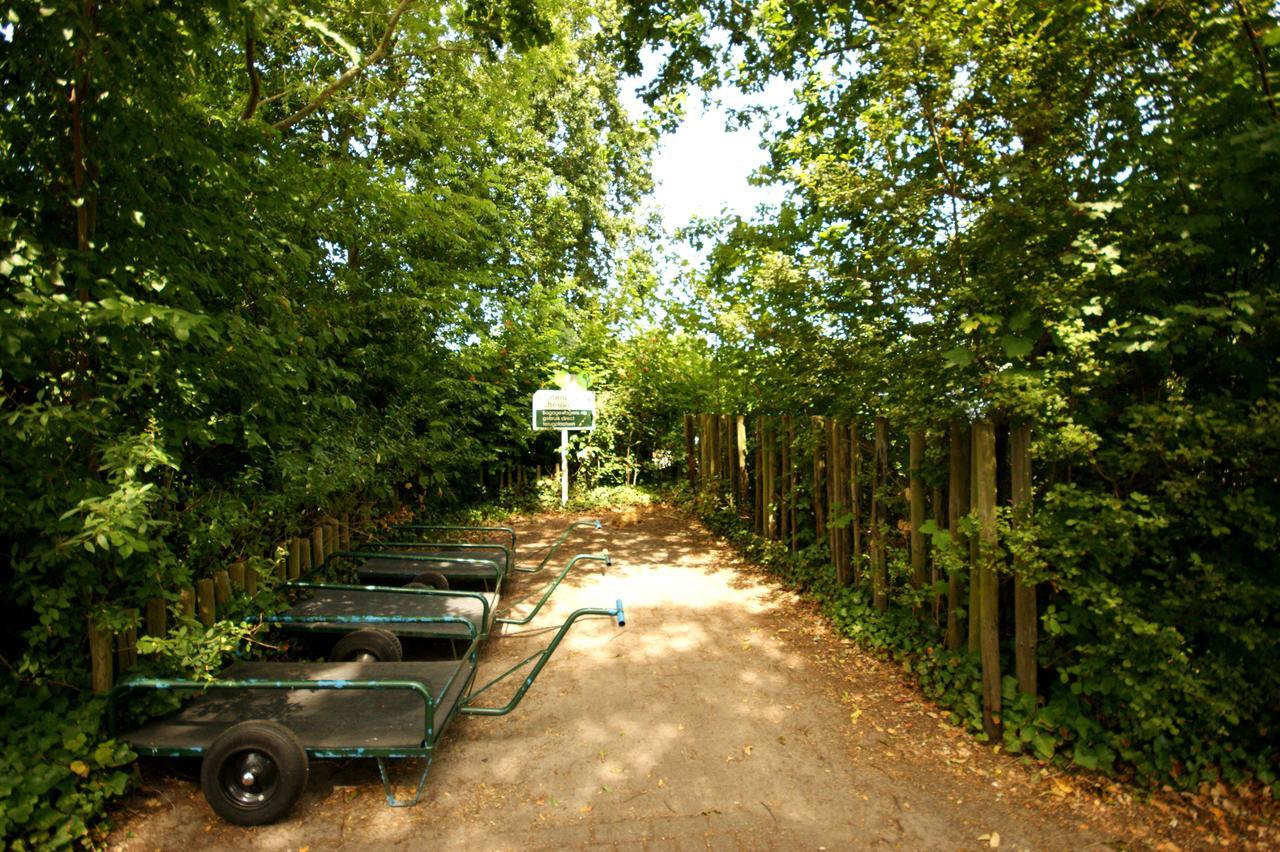 Welcome In - Vakantiehuis Met Ruime Tuin, Gezamenlijk Zwembad, Haaijmanweg 5-118 Burgh-Haamstede Exterior foto